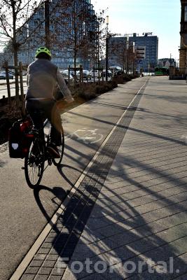 Światłocienie Poznania