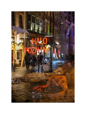 Halo Poznań