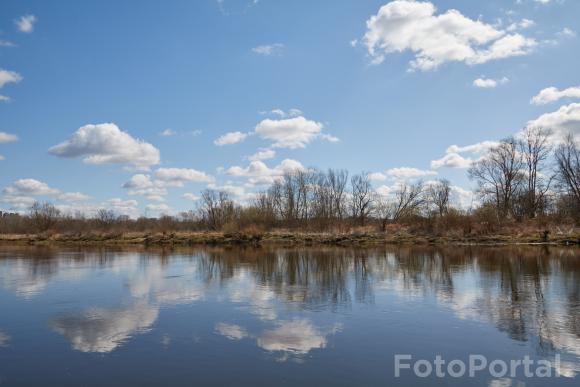 Wiosennie nad Wartą