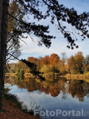 Park Sołacki przegląda się w lustrze