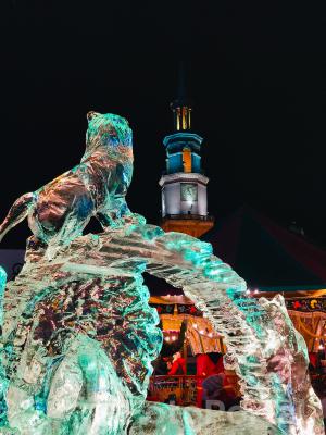 Lód w Poznaniu