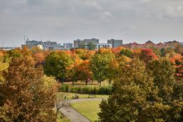 Jesień na Winogradach (Park Wł. Czarneckiego)