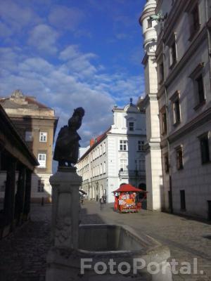 Stary Rynek z Bamberką