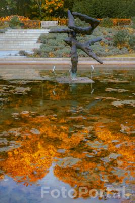„Jesień odbita w tafli wody”