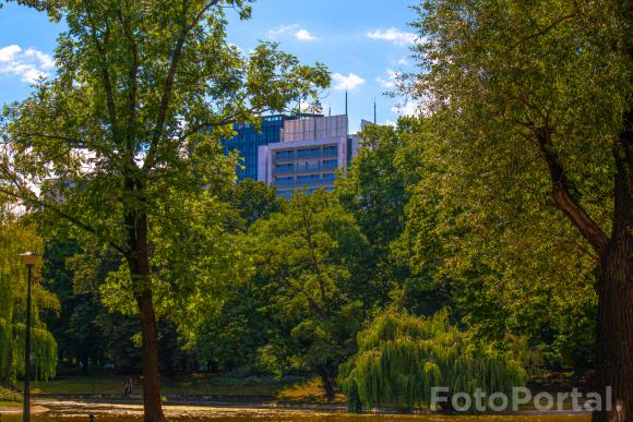 Park Imienia Karola Marcinkowskiego, Sierpień 2021