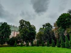 Chmurki nad parkiem