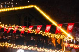 Świąteczne obchody Powstania Wielkopolskiego