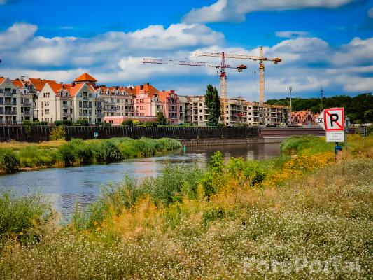 Miasto w rozkwicie