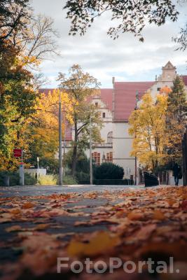 Jesień w Dzielnicy Cesarskiej