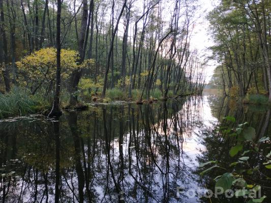 Wieczorem nad jeziorem