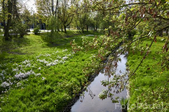 Zielony Park Wodziczki