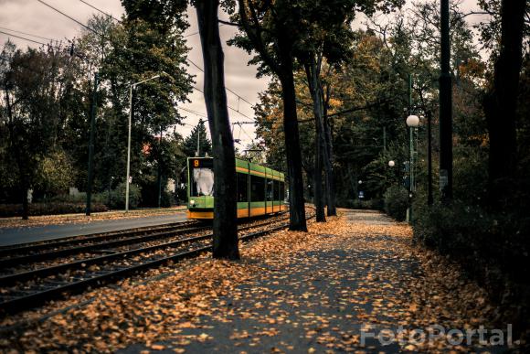 Bimbą  przez jesień