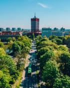 Poznański park w centrum