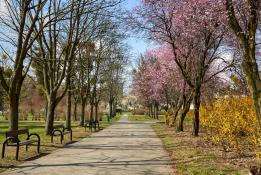 Park Wł Czarneckiego  Os Przyjaźni