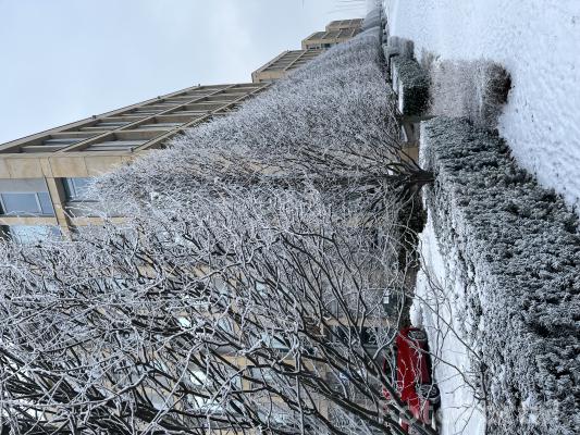 Jak zima otula miasto....