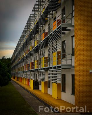 Collegium Chemicum