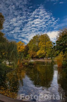 Park Wilsona