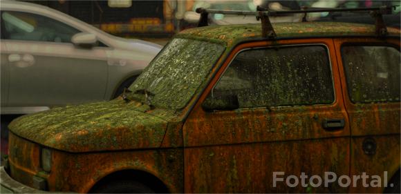 Porzucony, przejęty przez naturę