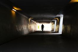 Światłocienie Poznania