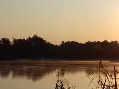 mgła nad stawem - Szachty