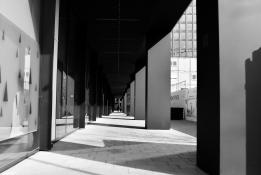 Światłocienie Poznania