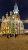 Choinka na Starym Rynku
