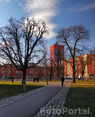 Park Dąbrowskiego