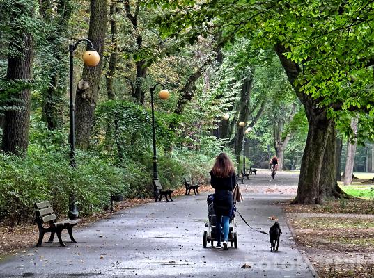 Spacer. Park Sołacki