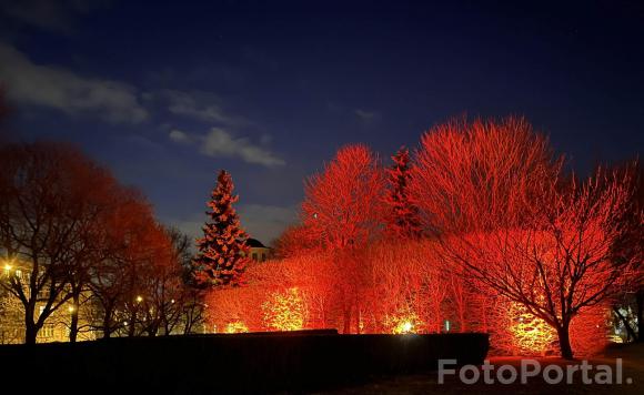 Poznański Wieczorny Klimat