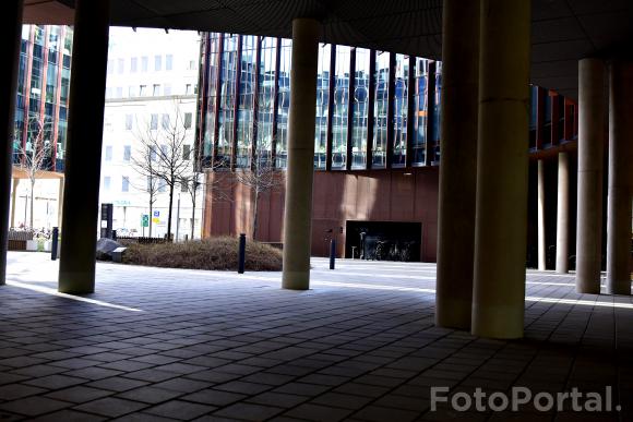 Światłocienie Poznania