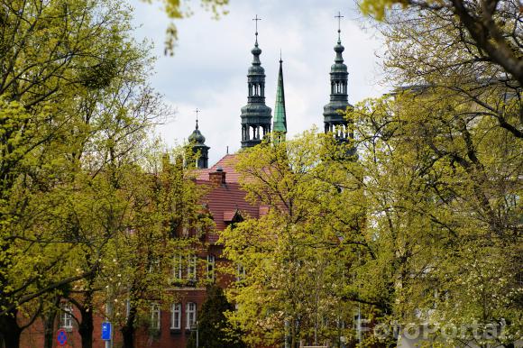 Park/skwer Łukasiewicza