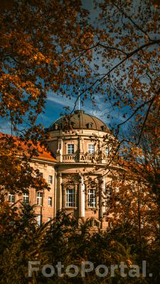 Jesienny uniwersytet