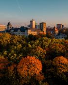 Jesień w samym centrum Poznania