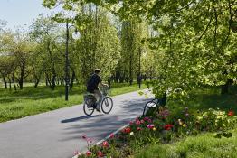 Rowerem po wiosennej Cytadeli