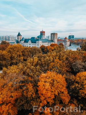 Poznań górą