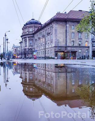 Kałużowe Love