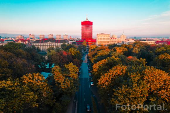 Ekonomik jesienią