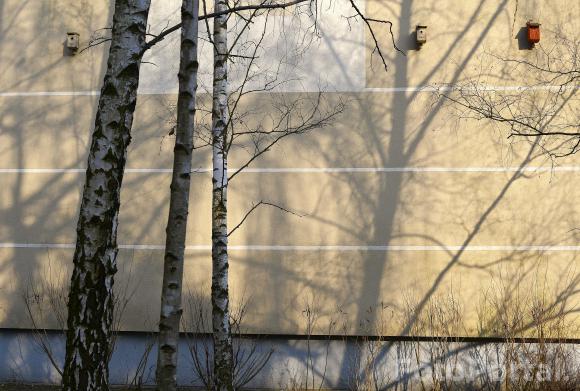 Światłocienie Poznania