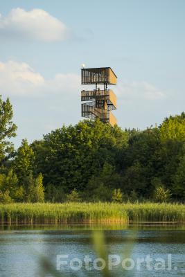 Szachty