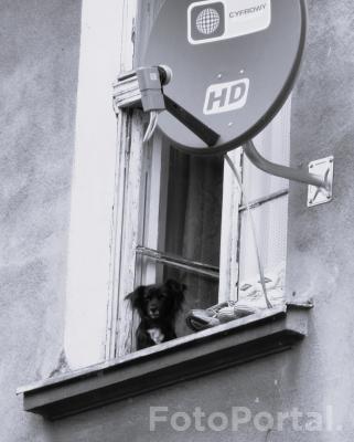 Okno na Ostrowie Tumskim w Poznaniu