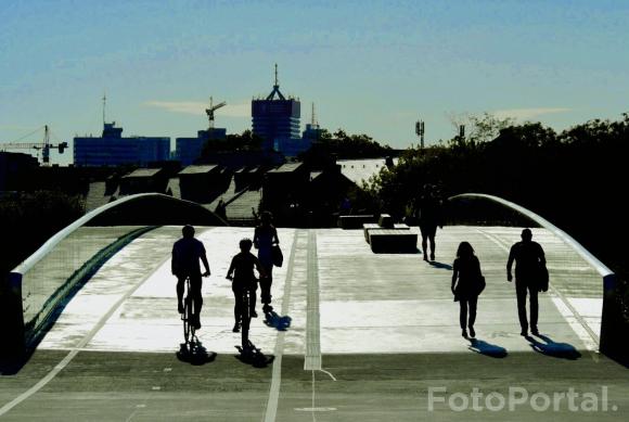 Światłocienie Poznania