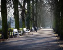 Aleja światła i cieni