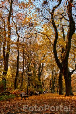 Posiedzieć na ławeczce w Parku Sołackim