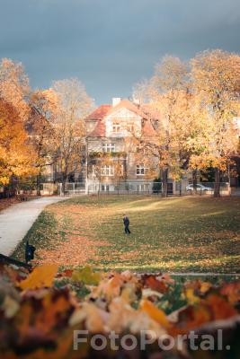 Park Wieniawskiego w jesiennych barwach