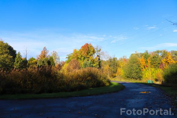 Ogród Botaniczny