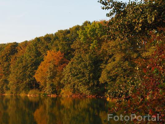 Jesień nad Rusałką...