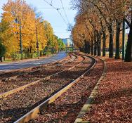 tory tramwajowe wzdłuż al. Wielkopolskiej