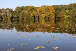 Październikowa Rusałka