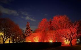 Poznański Wieczorny Klimat