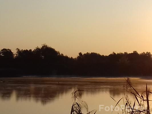 mgła nad stawem - Szachty